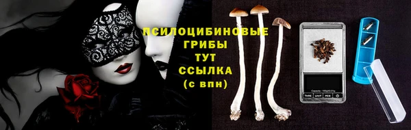 молекула духа Алексеевка