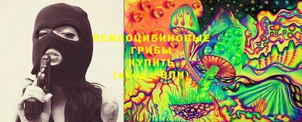 PSILOCYBIN Алзамай