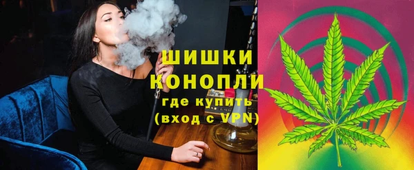 PSILOCYBIN Алзамай