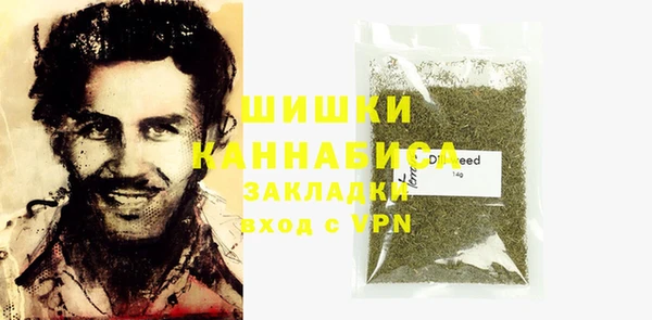 прущие грибы Переславль-Залесский